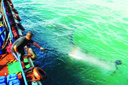 小青島近?，F千米油污帶 夾帶漂浮垃圾來源不詳