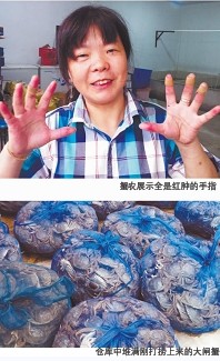 陽(yáng)澄湖大閘蟹開(kāi)湖:吐沙吐一天 蟹商幾小時(shí)賣(mài)數(shù)千斤