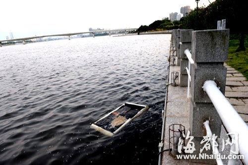 閩江公園南園沿線，閩江混雜污水，漂著垃圾，散發(fā)出腥臭。