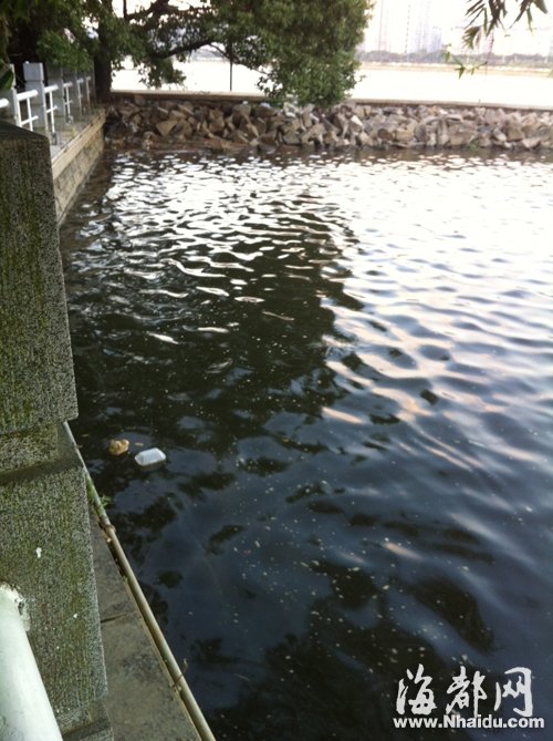 閩江公園南園沿線，閩江混雜污水，漂著垃圾，散發(fā)出腥臭。