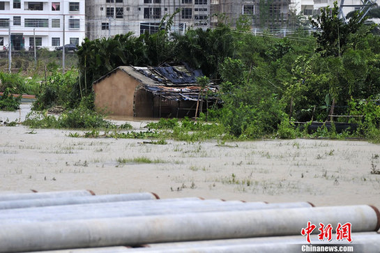 臺風山神過境三亞大風暴雨 市民街上下網(wǎng)捕魚
