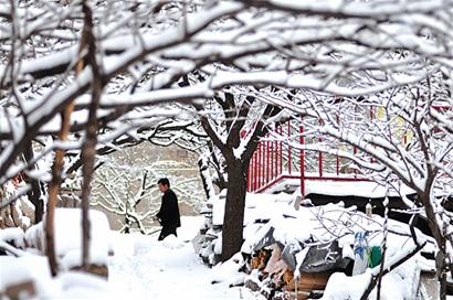 青島迎來(lái)入冬最大雪漫過(guò)腳踝 今明氣溫跌至-8℃
