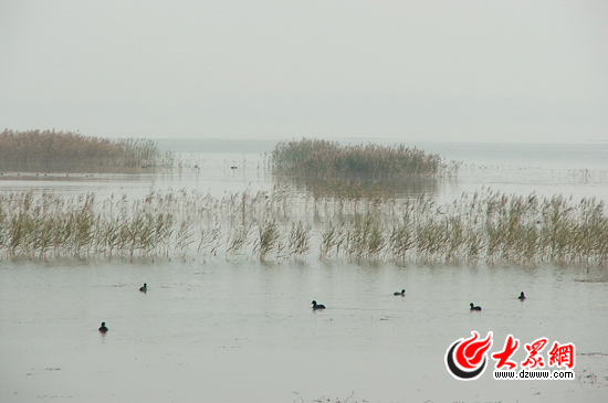 峽山湖國家濕地公園注重對自然環(huán)境的保護，公園的生物多樣性十分豐富，是我國內陸候鳥遷徙通道上的重要驛站和棲息地