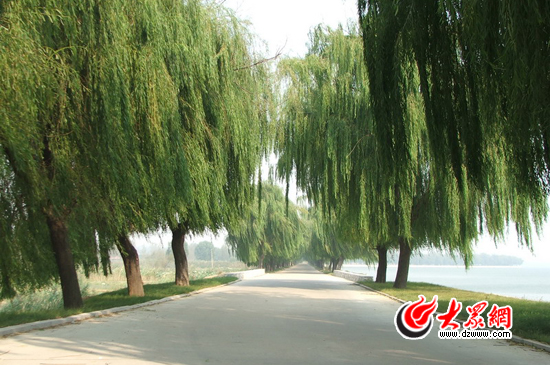 峽山湖國家濕地公園的環(huán)湖公路。